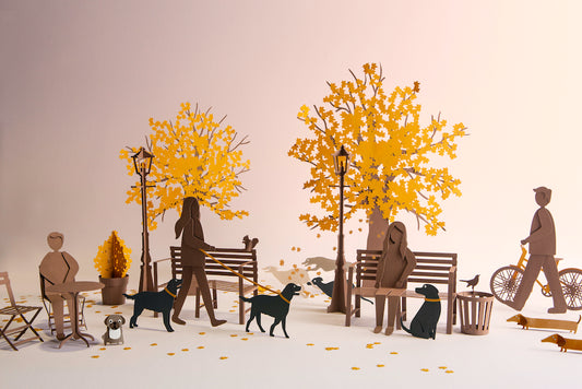 Walk, read and cook in colour this Autumn