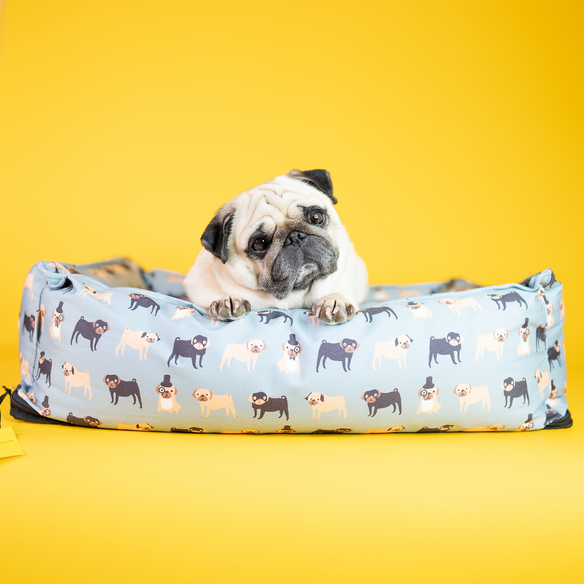 Pug clearance dog bed