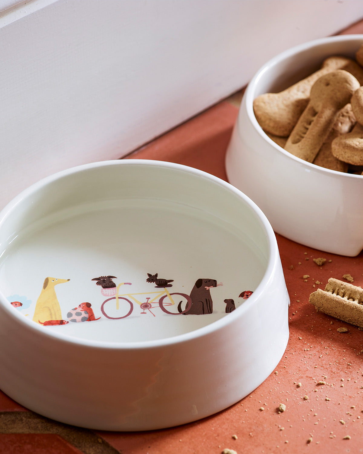 Dog Bowl