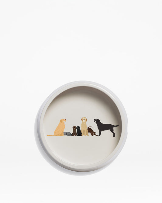 Dog Bowl