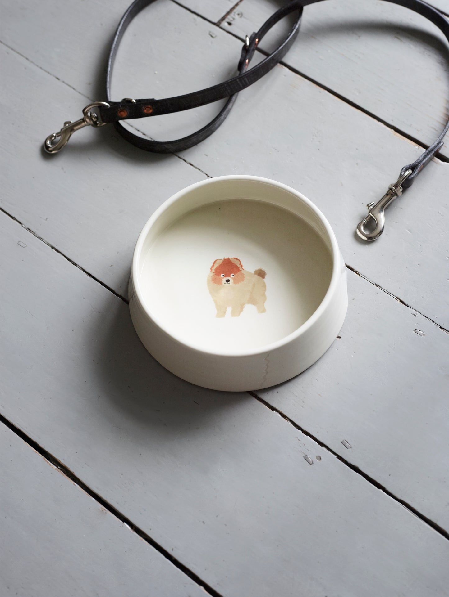 Dog Bowl