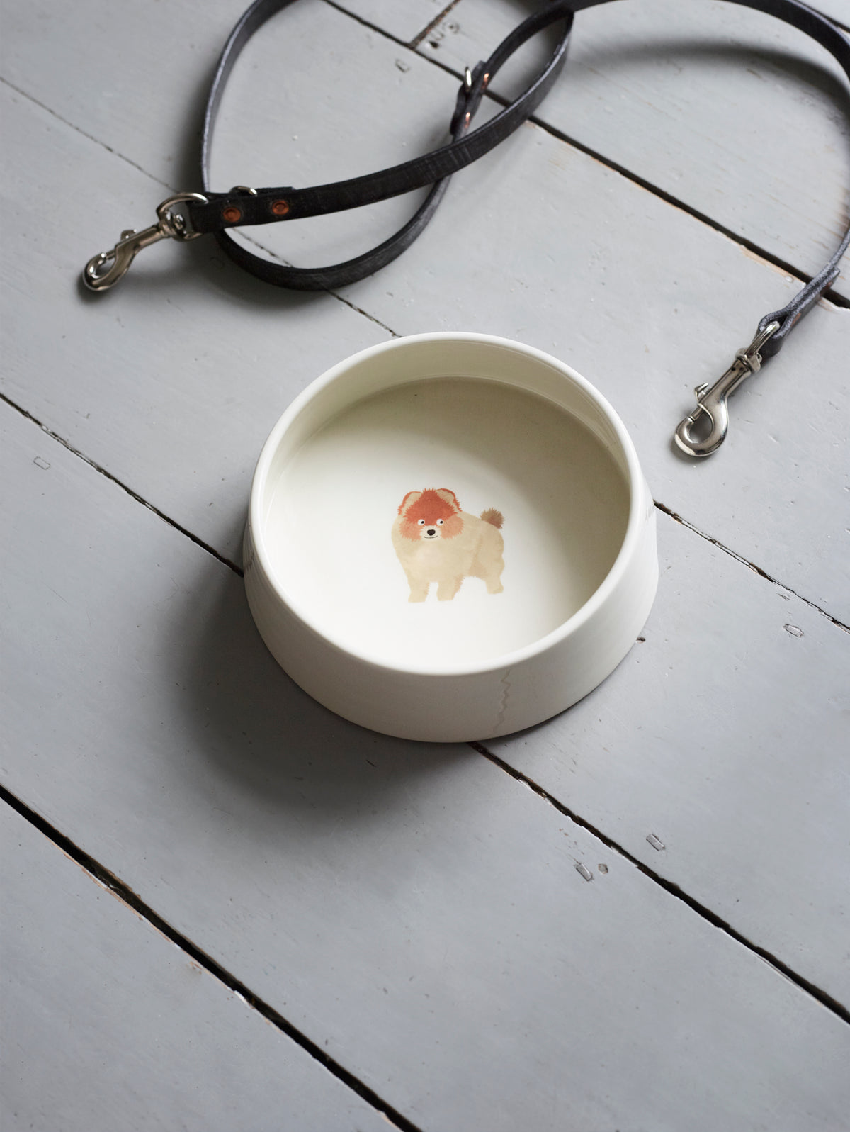 Dog Bowl