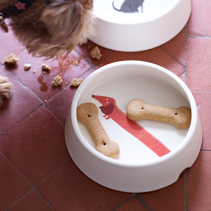 Dog Bowl