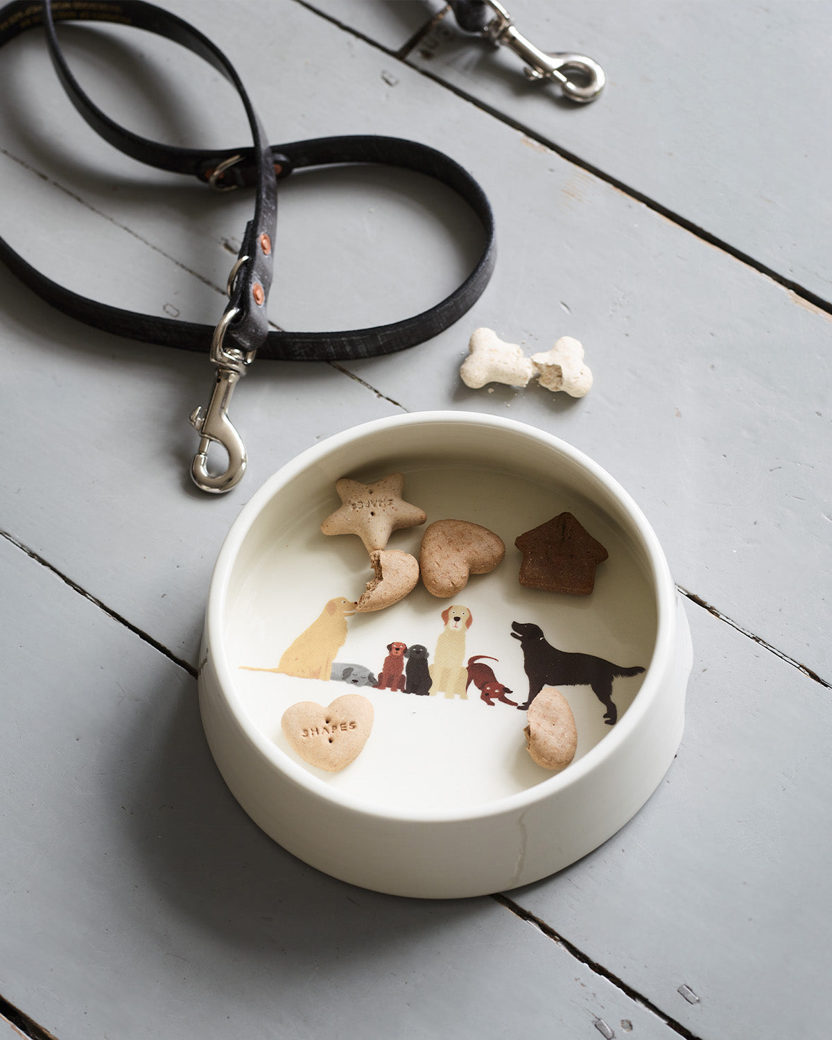 Dog Bowl and Treat Jar Set