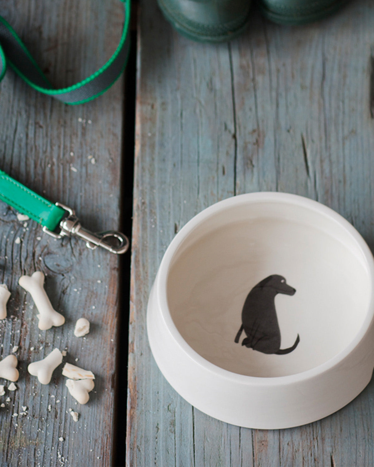 Dog Bowl